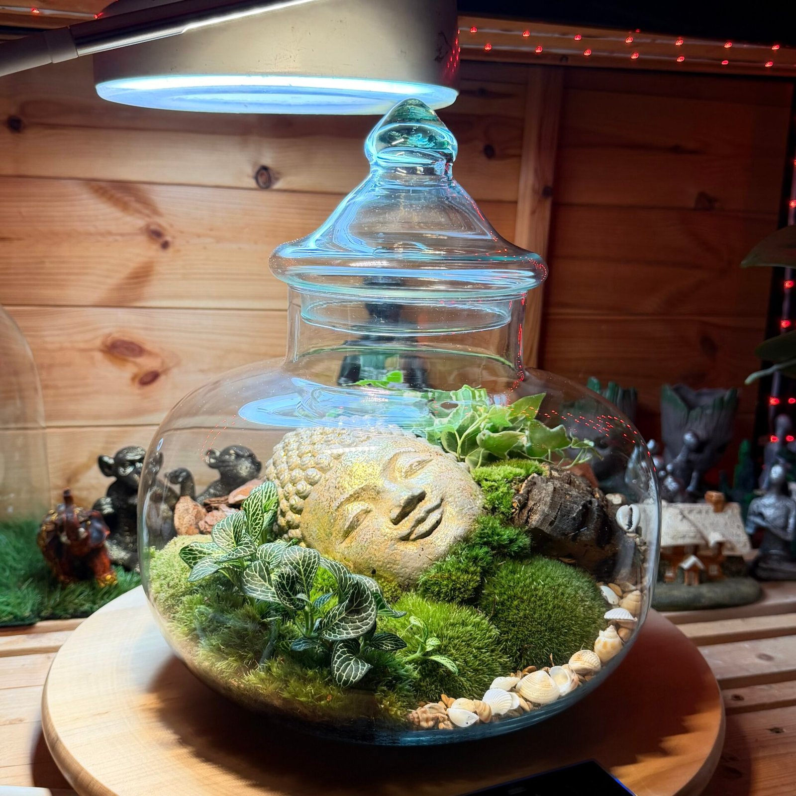 Whispering Forest - Image 3